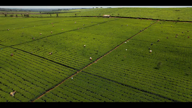 The Mission in Kenya in 2026