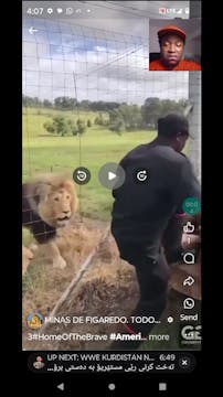 Feeding Hungry zoopan lions