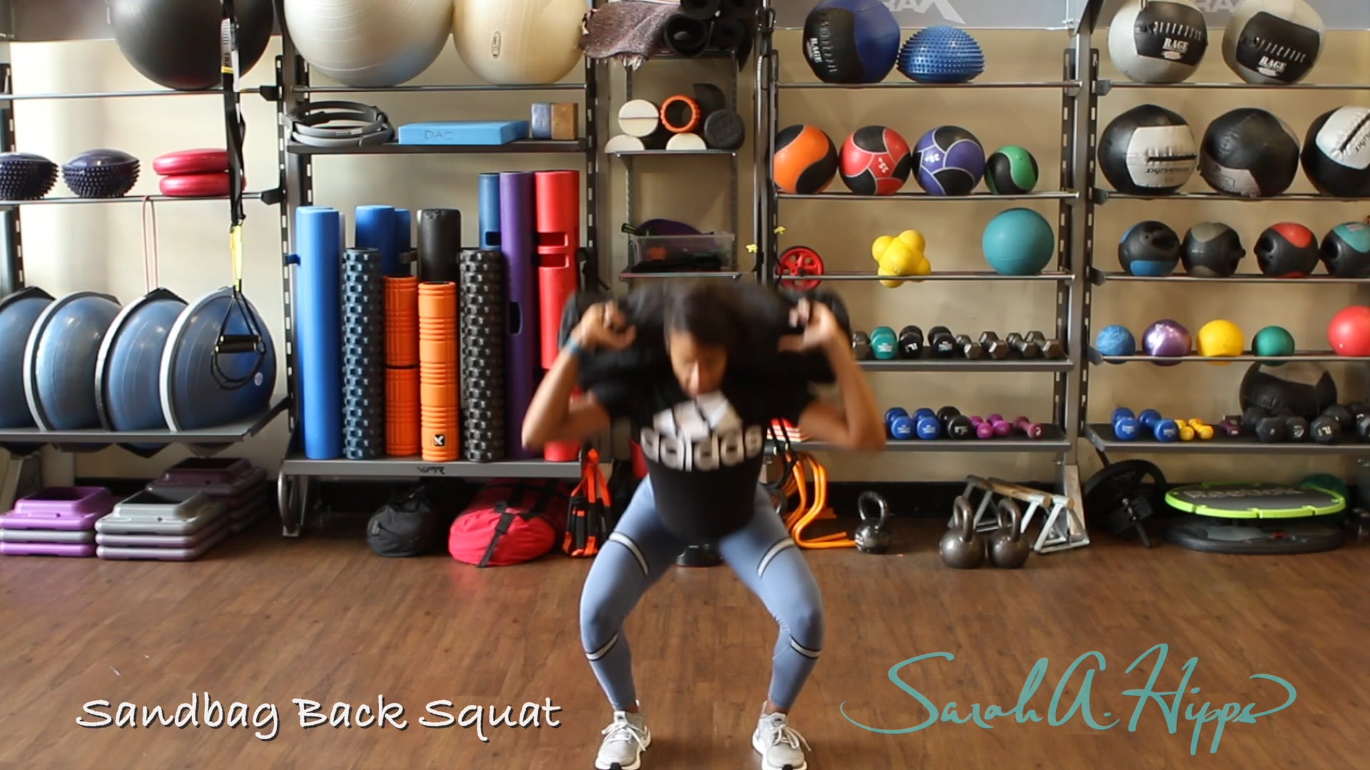Sandbag Back Squat