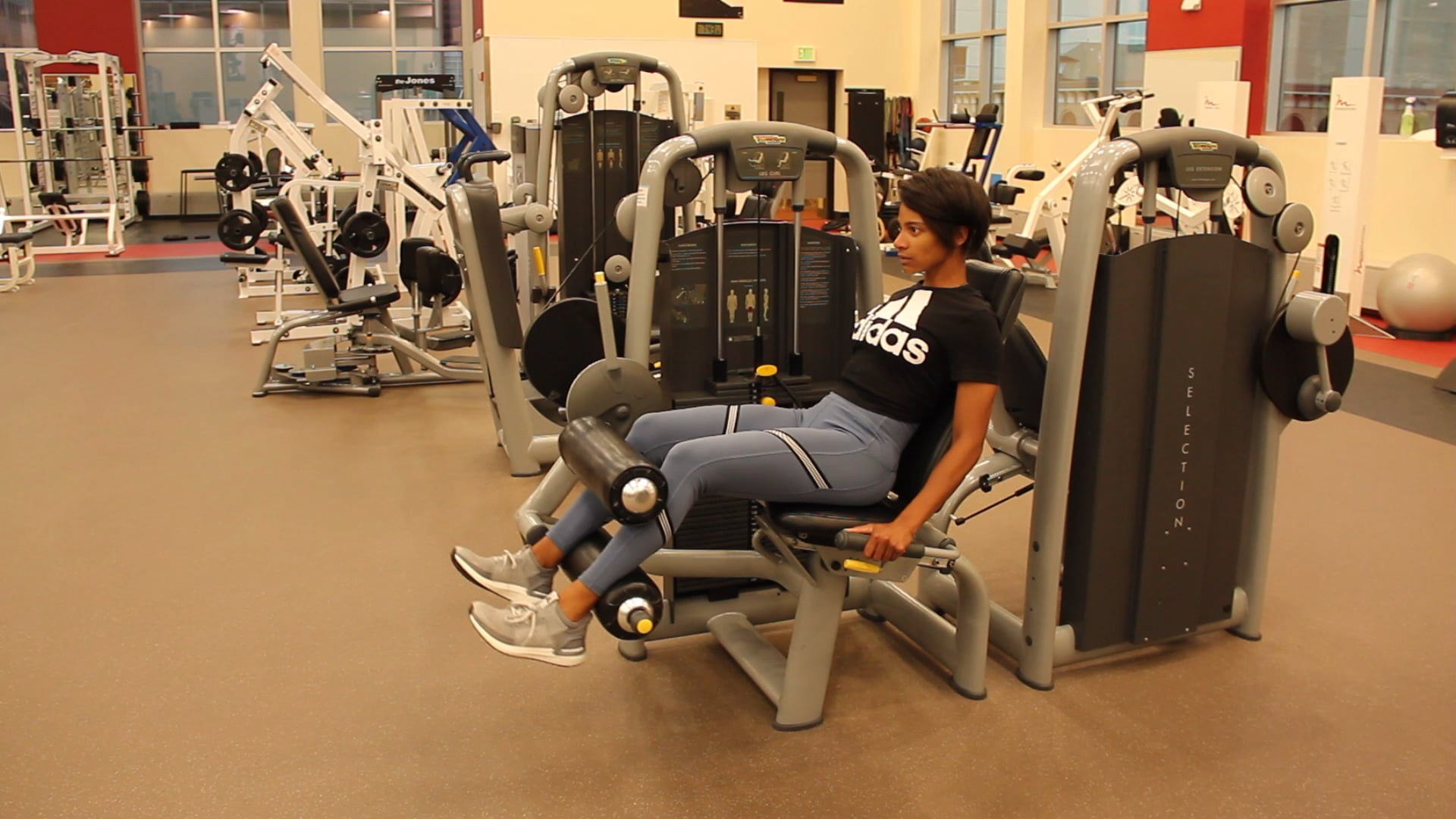 Hamstring Curl Tempo