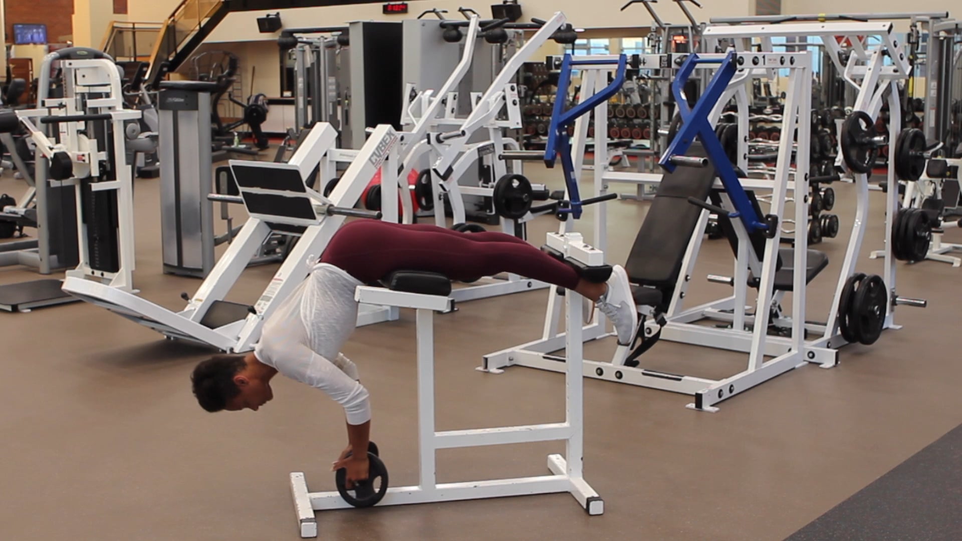 Back Extension with Y Raise