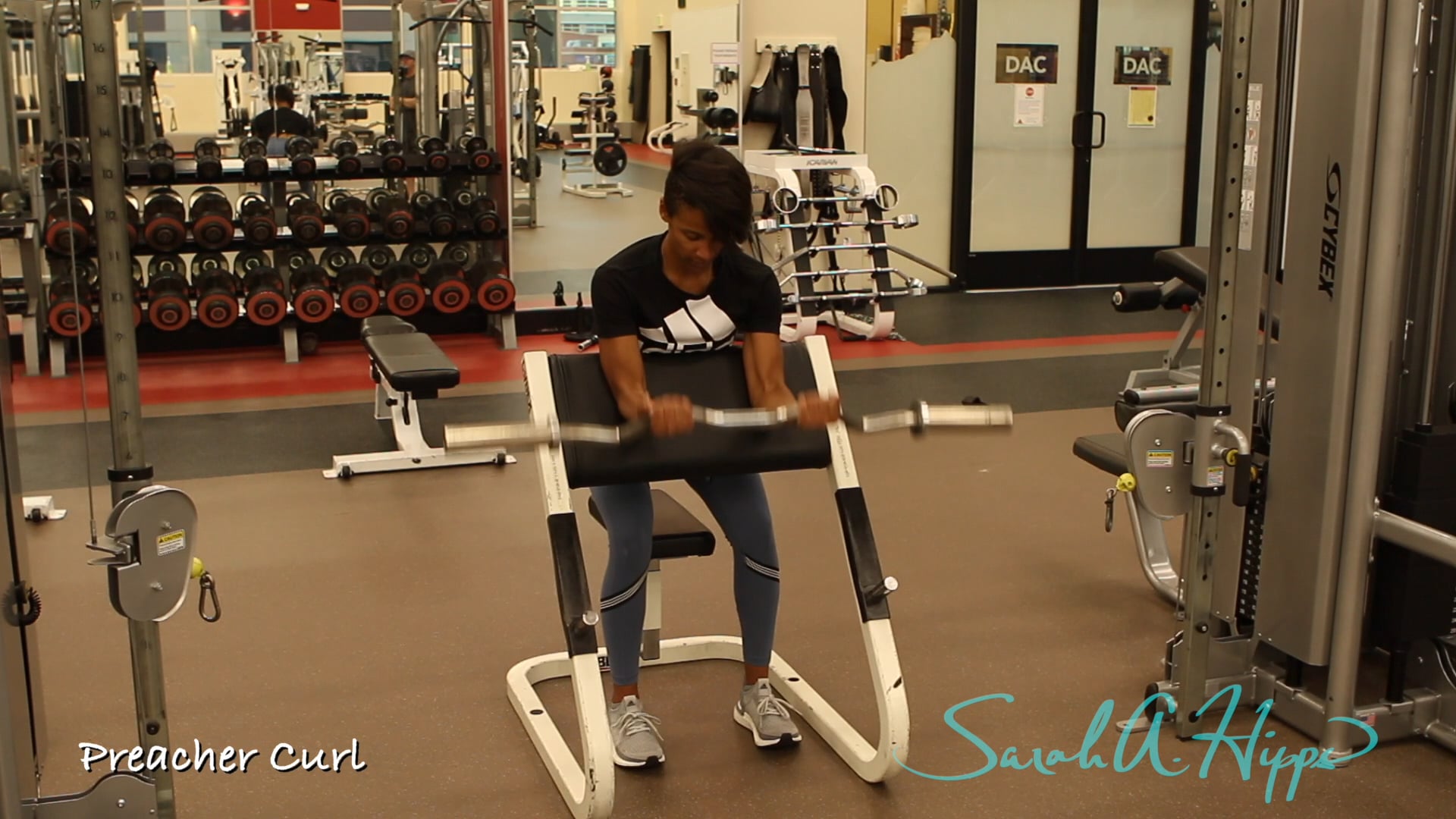 Preacher Curl