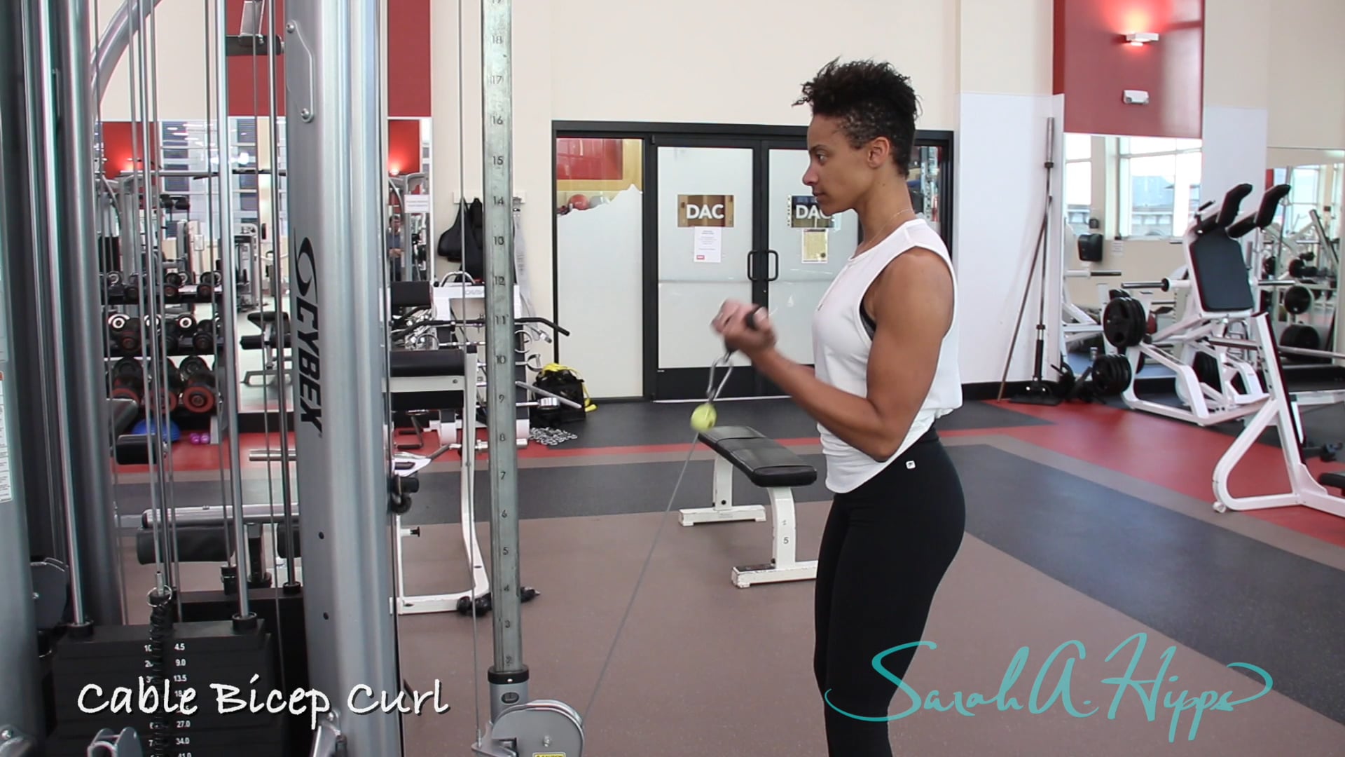 Cable Bicep Curl