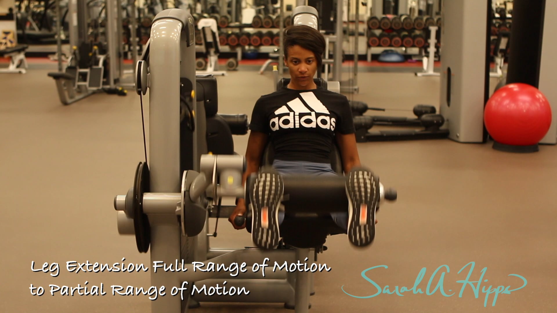 Leg Extension Full ROM to Partial ROM
