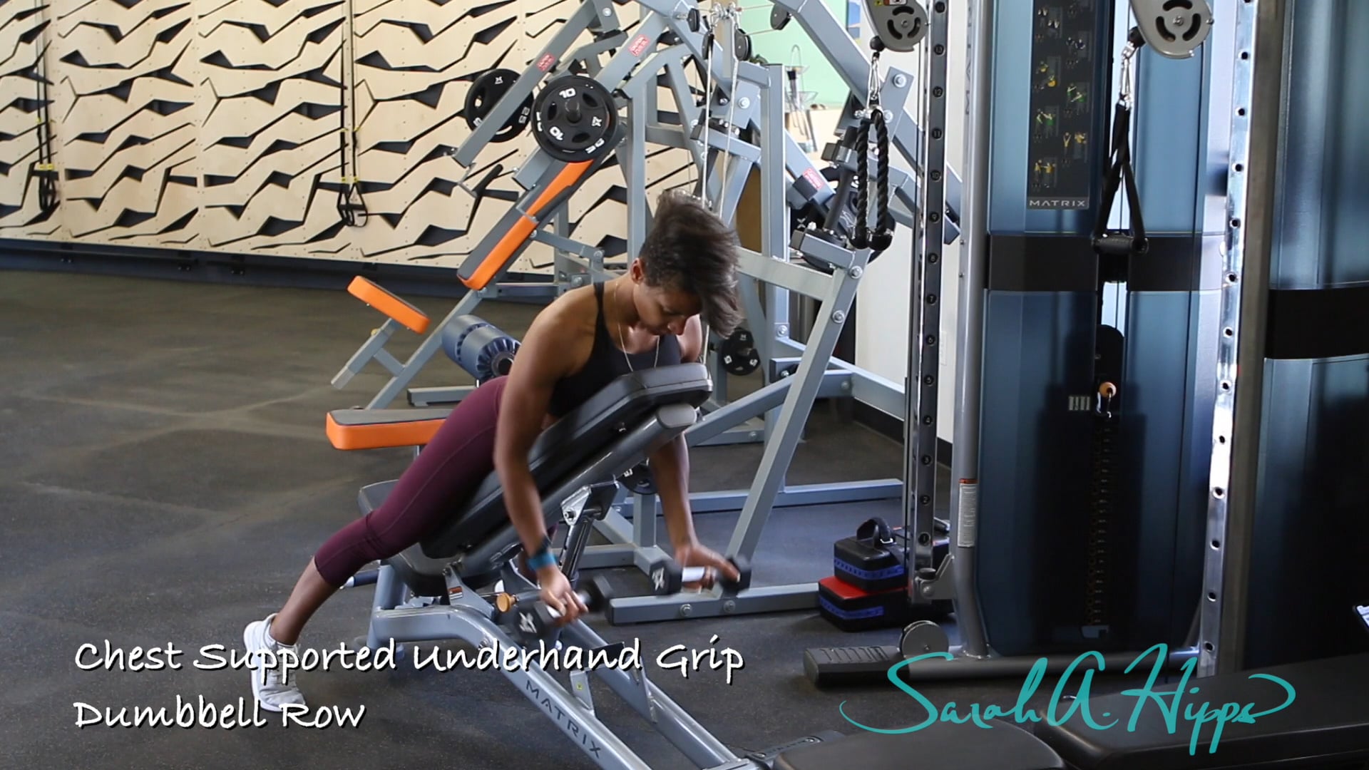 Chest Supported Underhand Grip Dumbbell Row