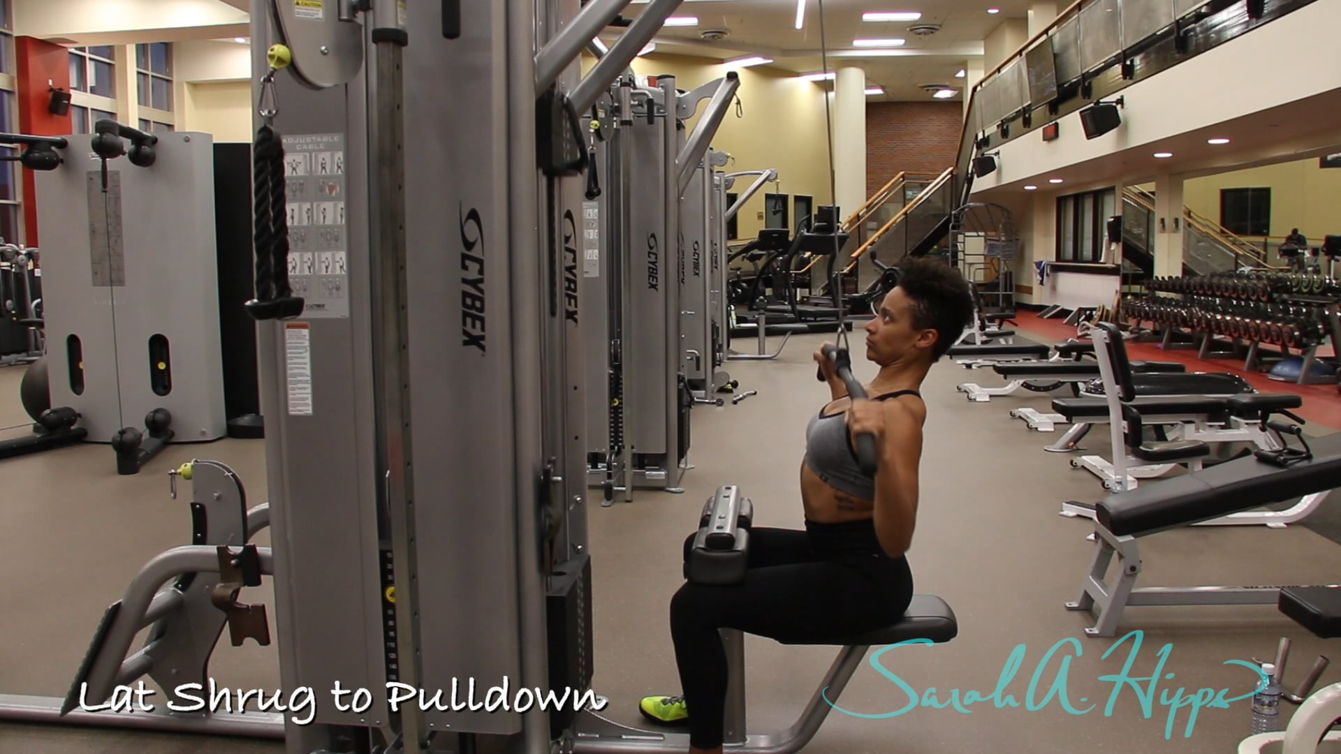 Lat Shrug to Pulldown