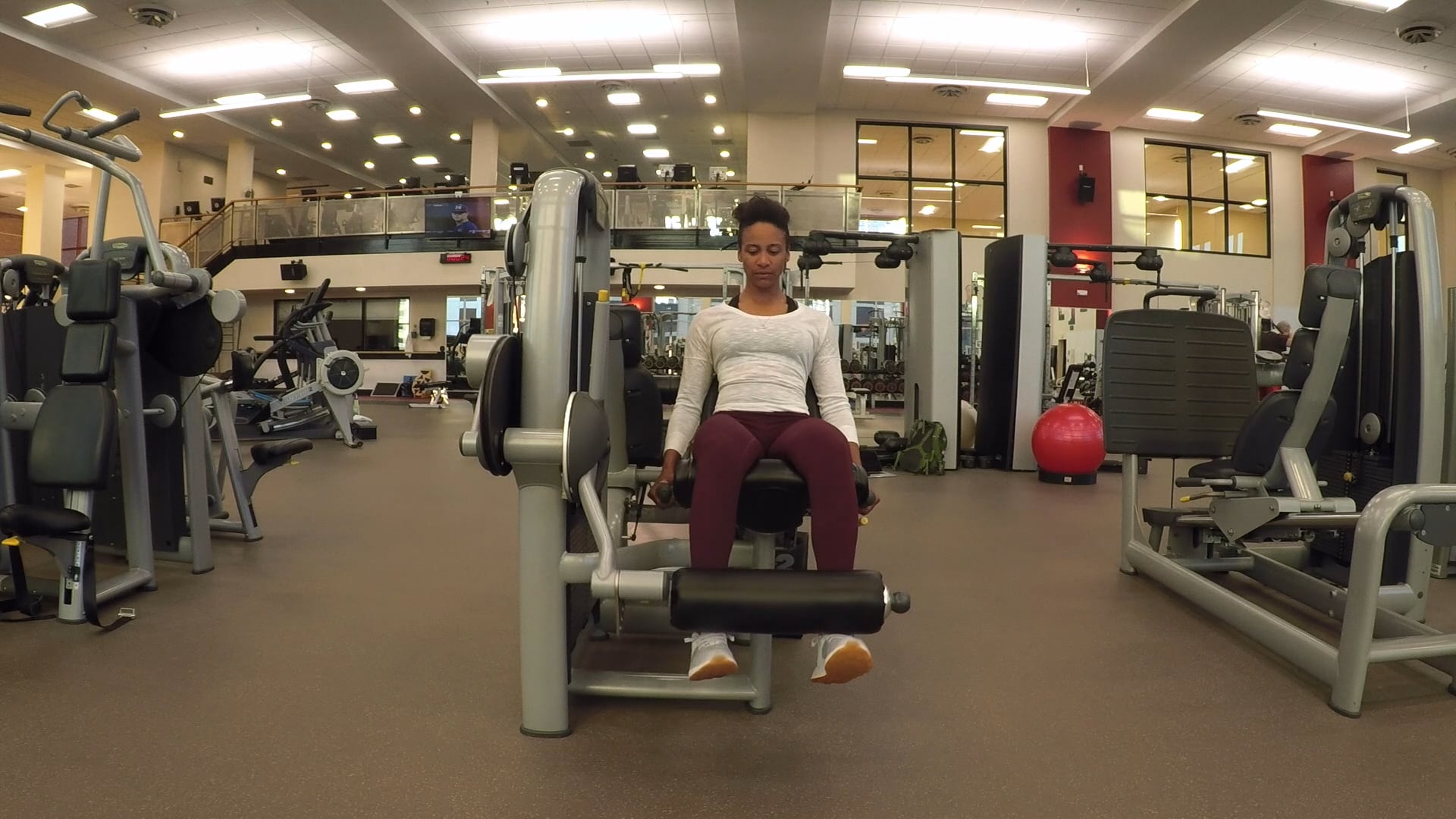 Leg Extension