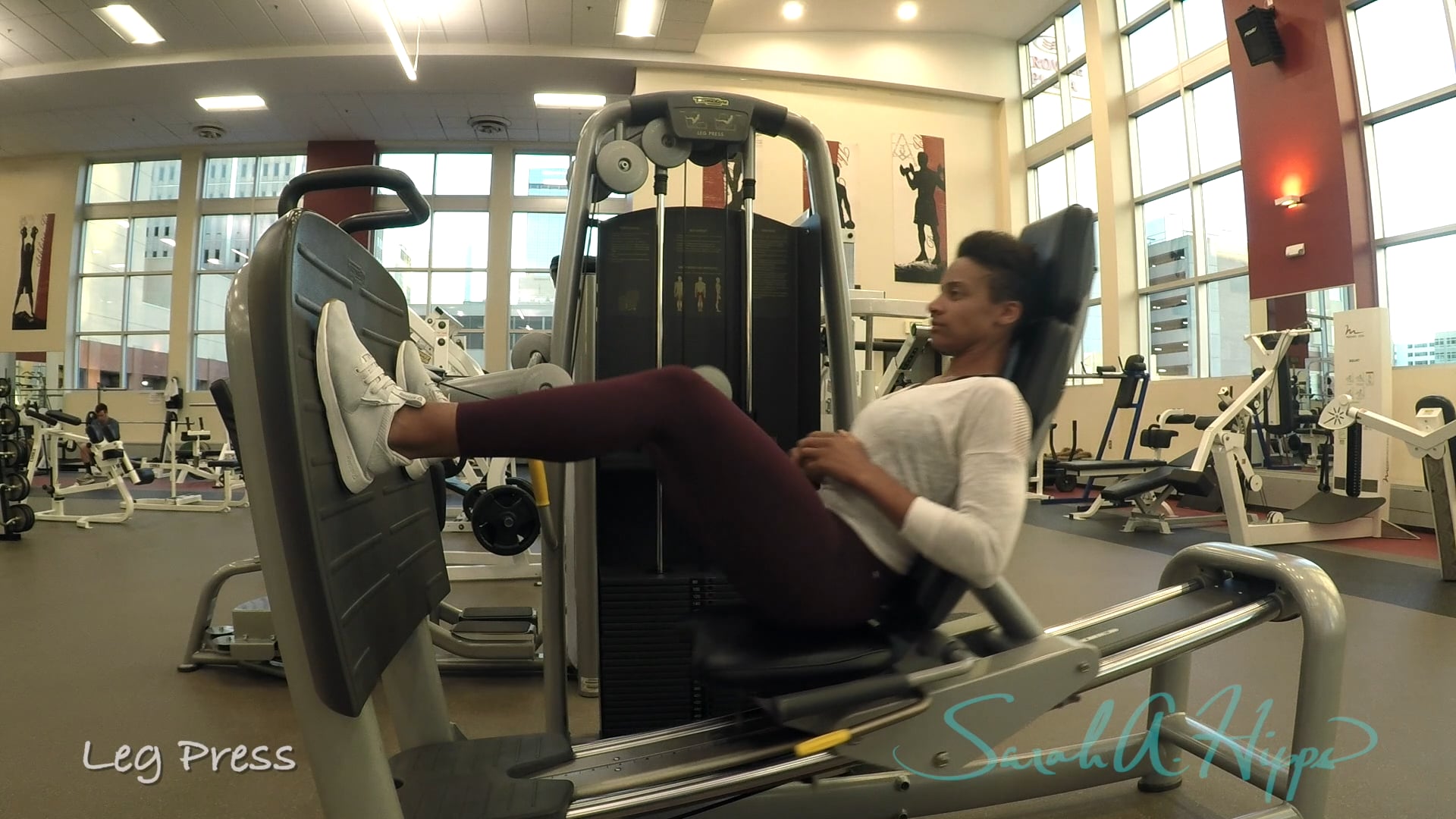 Leg Press