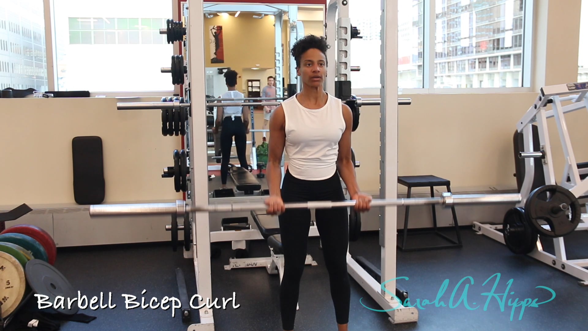 Barbell Bicep Curl