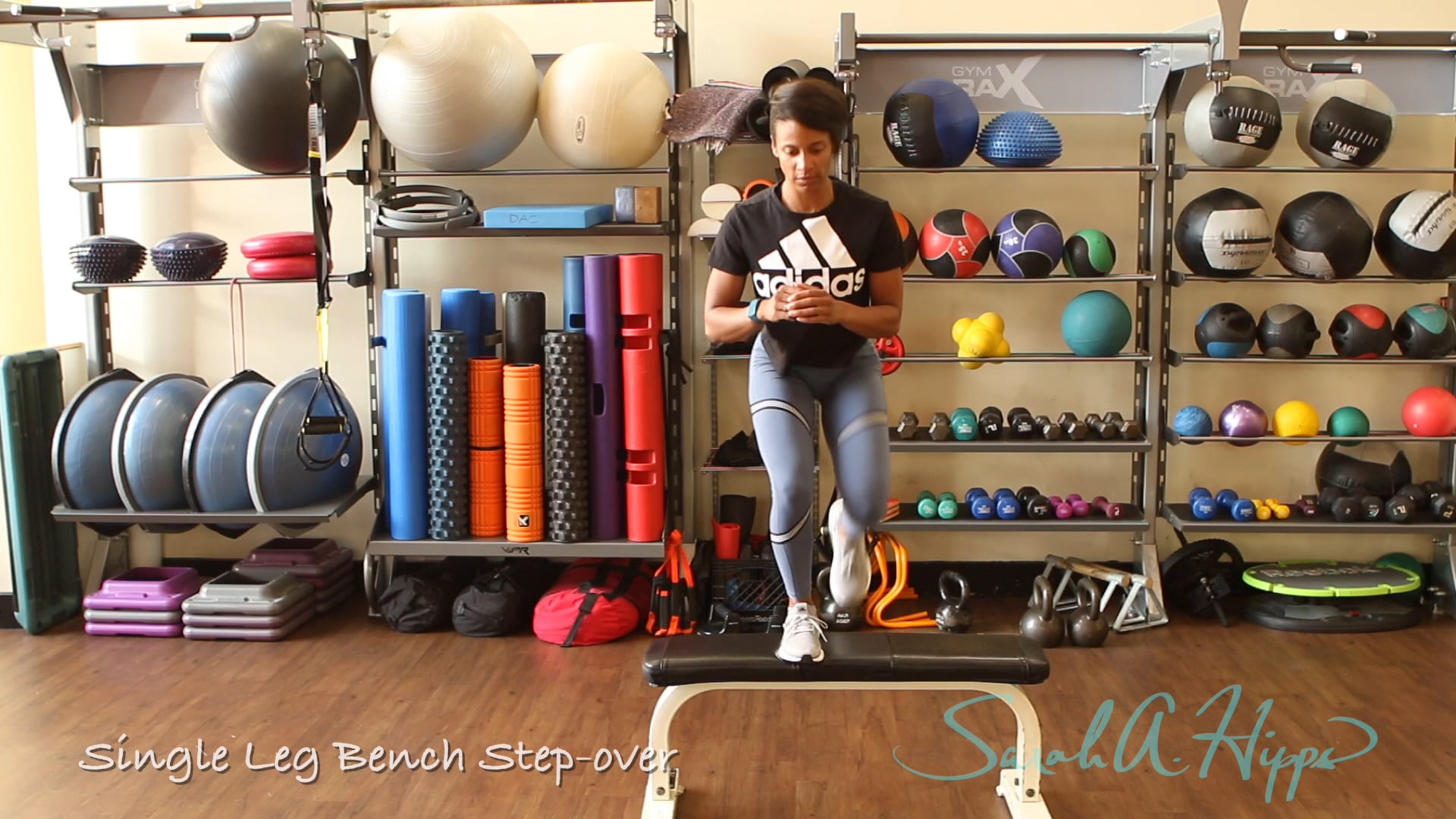 Single Leg Bench Step-over
