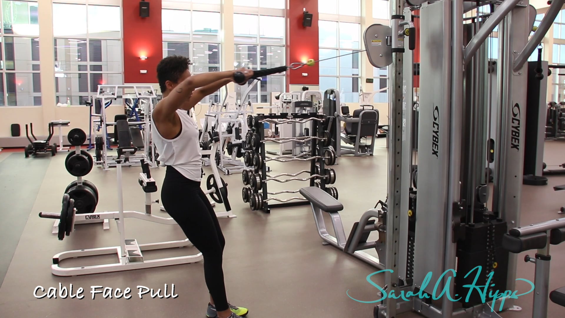 Cable Face Pull