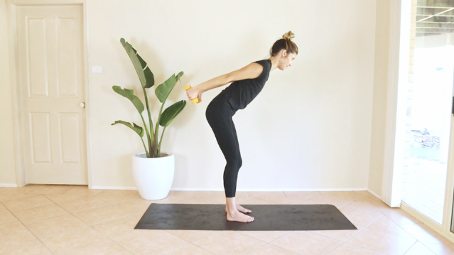 Quick 5 Minute Prenatal Arms - Shoulders, Biceps, Triceps, Back