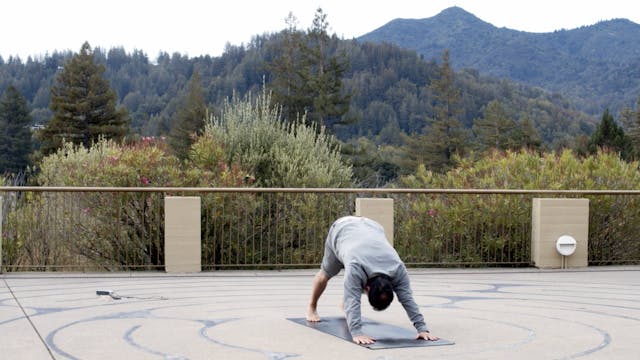 Geneva Terrace Yoga | Vicki | 10/13/21