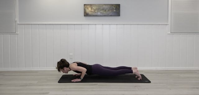 Mat 21 - No Bridge Hip Rotation, Obli...