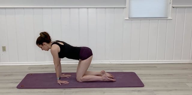 Day 23 - Forearm and Wrists
