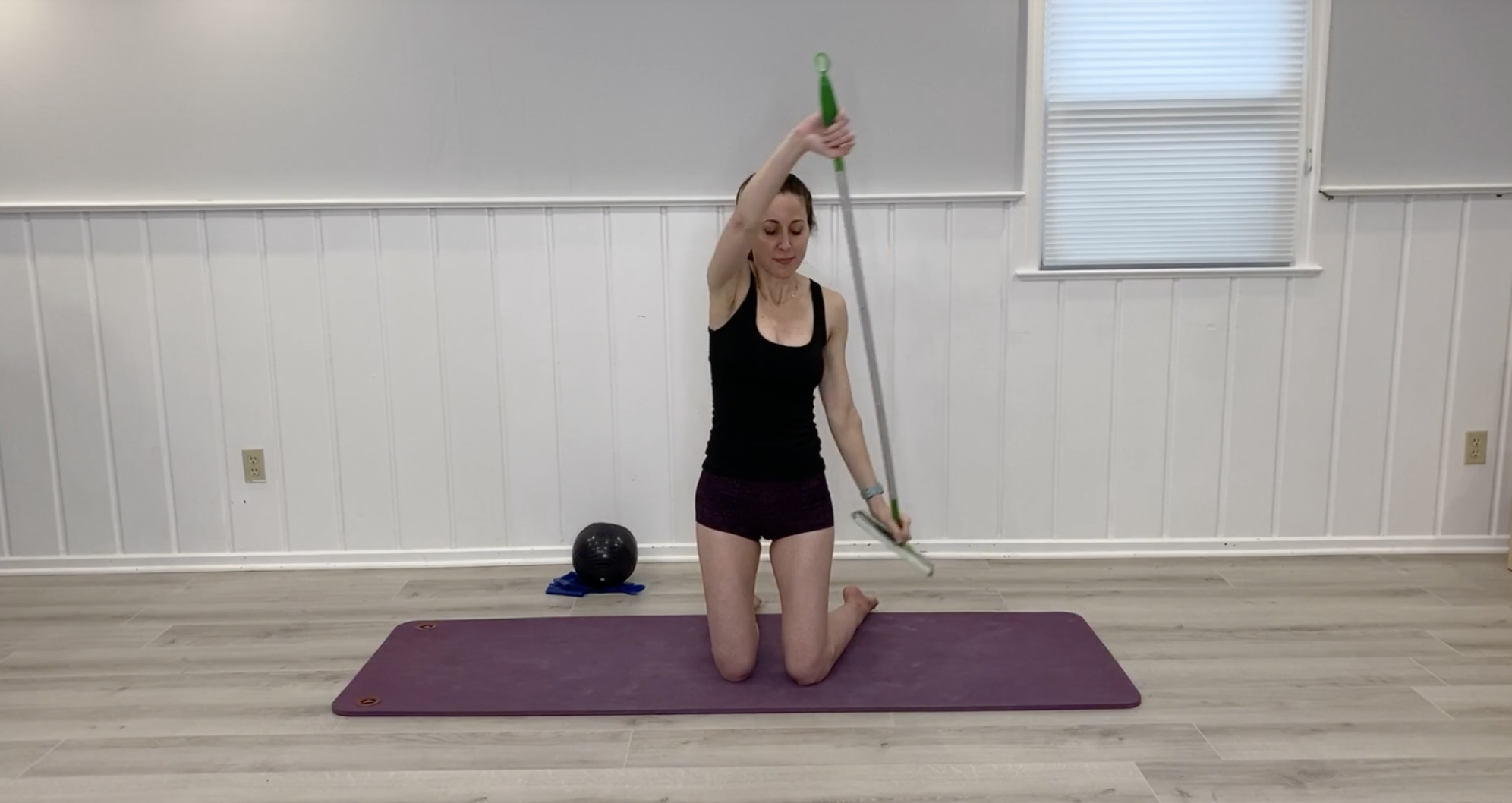 Day 15 - Rotator Cuff