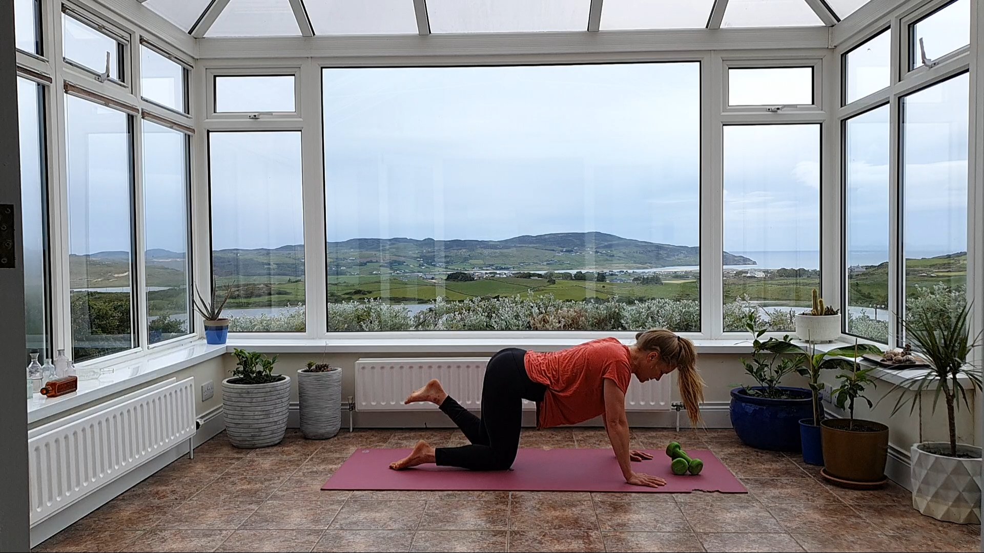 Glutes, Core + Arms w/Heavy Weights - June 9, 2020