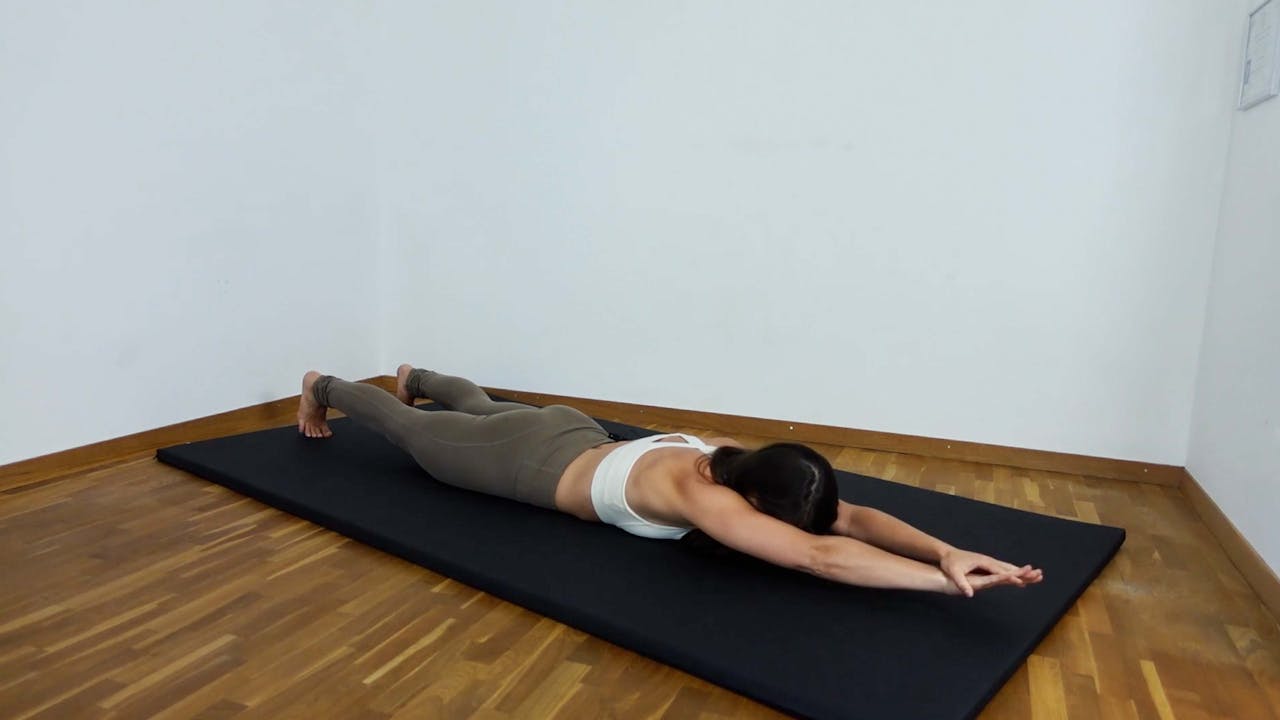 Arm Haulers (DE) Mark Lauren On Demand