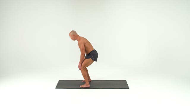 Side Lying to Lunging Part 3