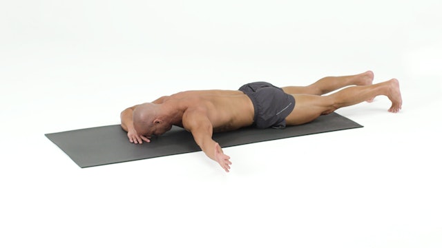 Front Lying Exercises (1S8R)