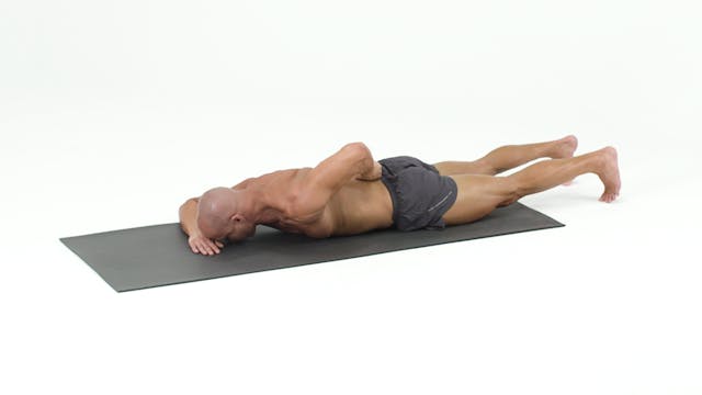 Front Lying Exercises (1D6R)