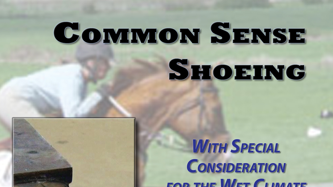 Common Sense Shoeing Consideration Wet Environment