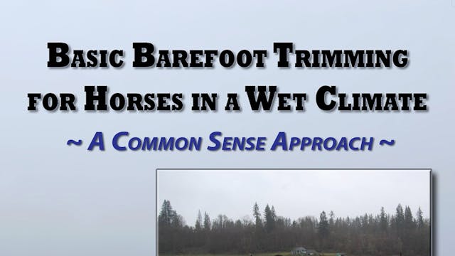 Basic Barefoot Trimming for a Wet Climate