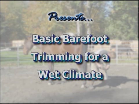 *Basic Barefoot Trimming for a Wet Climate