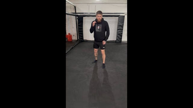  Beginner Boxing - Moving In Stance