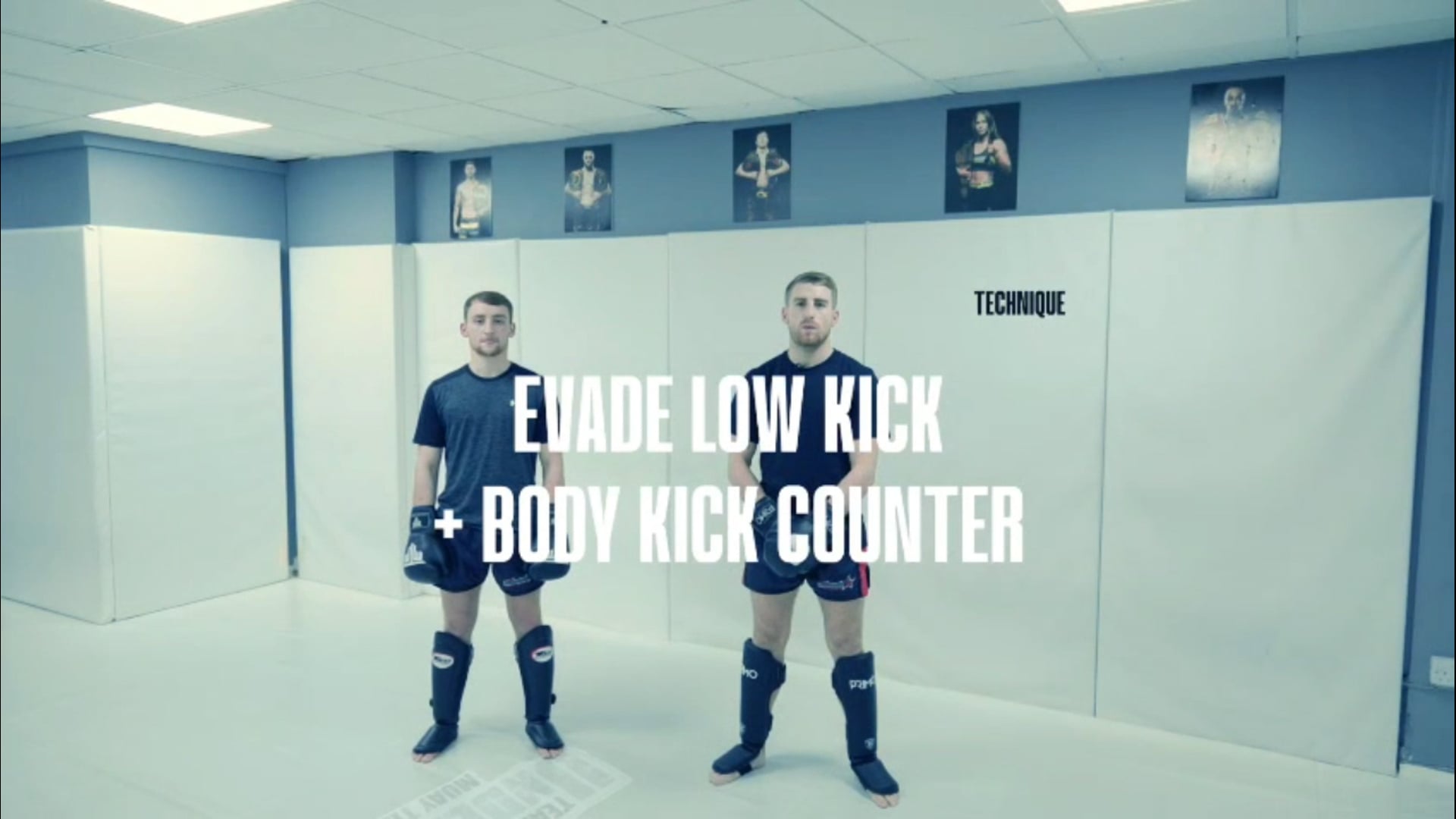 Evade Low Kick & Body Kick Counter