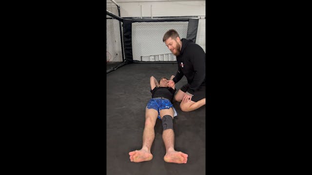 Beginner MMA - Moving To Mount