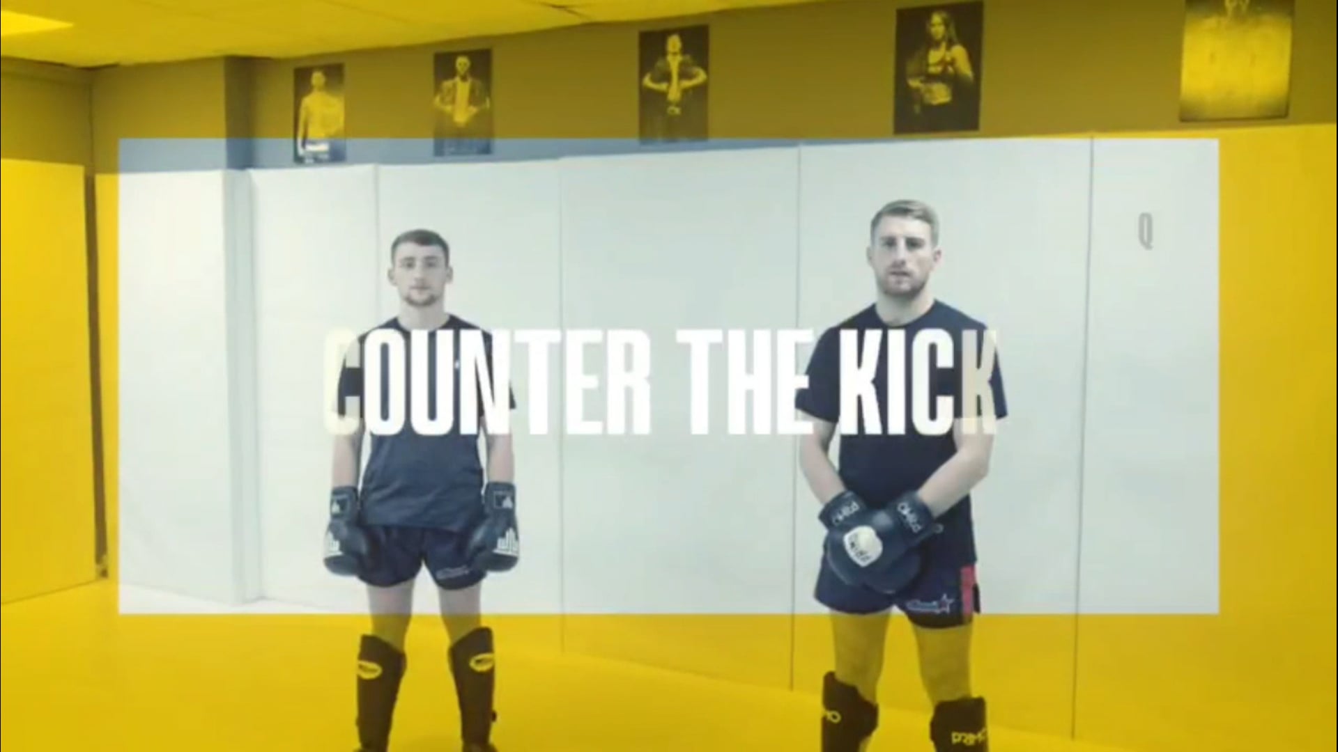 Elbow Counter Kick Catch