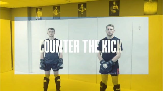Elbow Counter Kick Catch