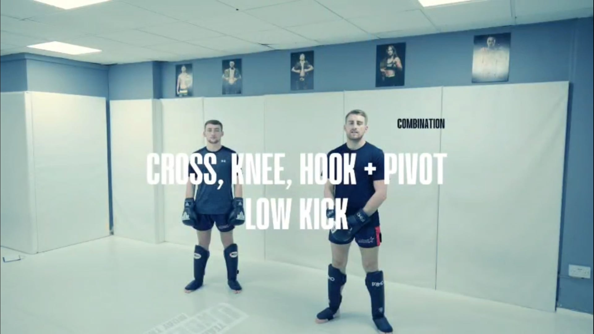 Cross, Knee, Hook & Pivot Low Kick