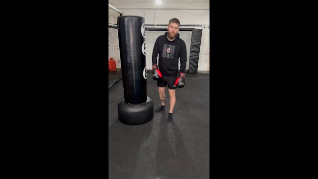 Beginner Kickboxing - Throwing A Hook