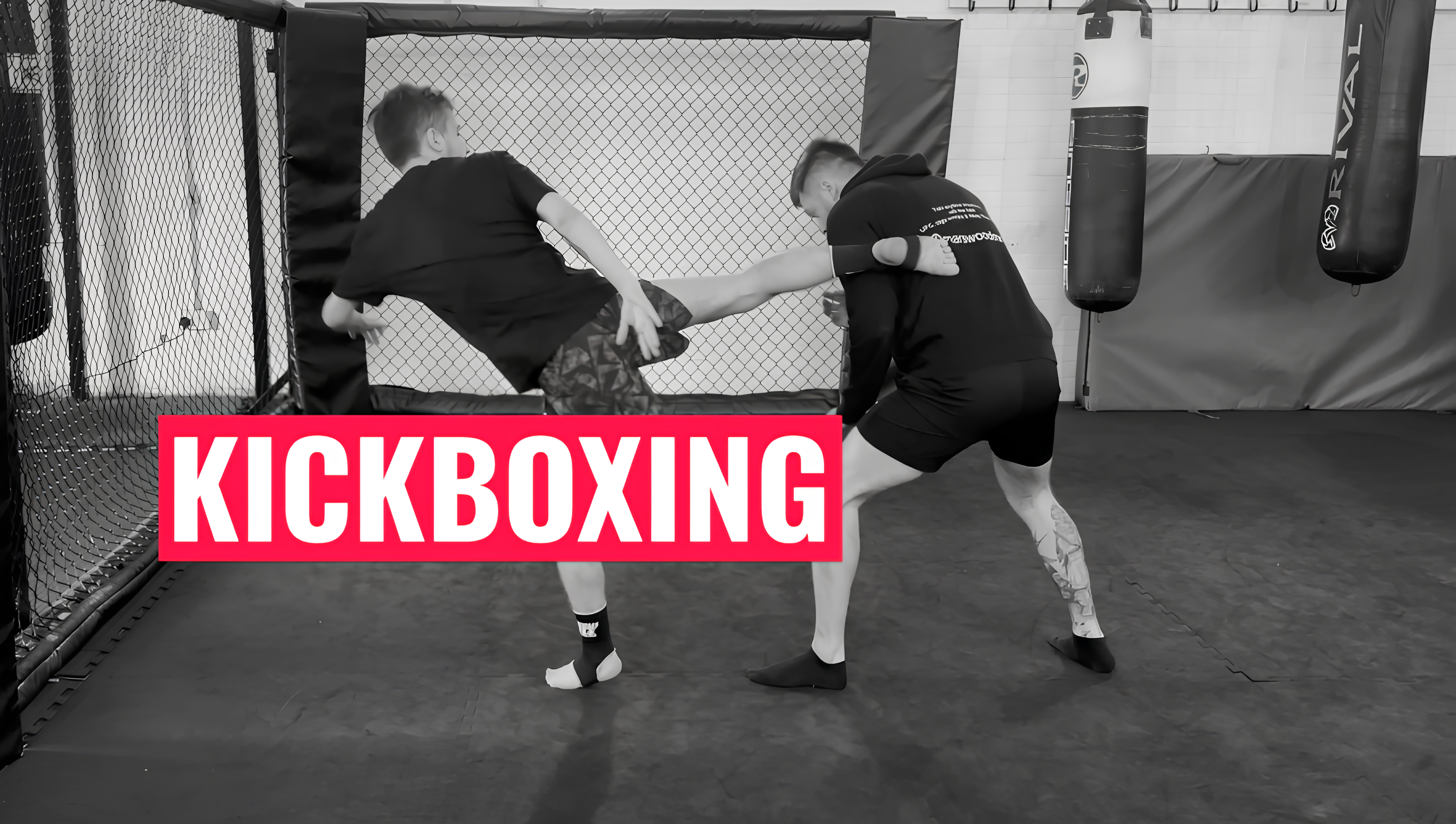 Muay Thai and Kickboxing