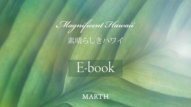 Ebook_Magnificent_Hawaii.pdf