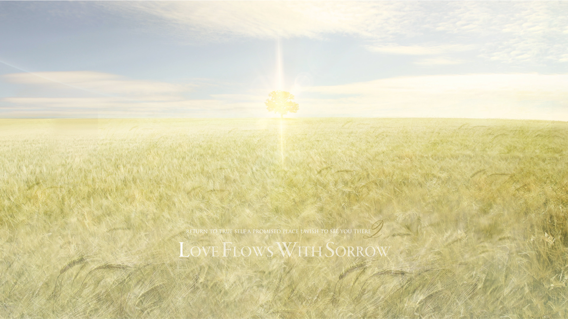 A Promised place #2 Love Flows With Sorrow