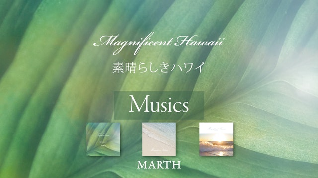Magnificent-Hawaii_music.zip