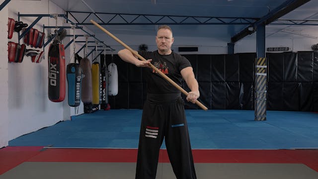 Adult Kung Fu Green Belt (5th Snr Rank)