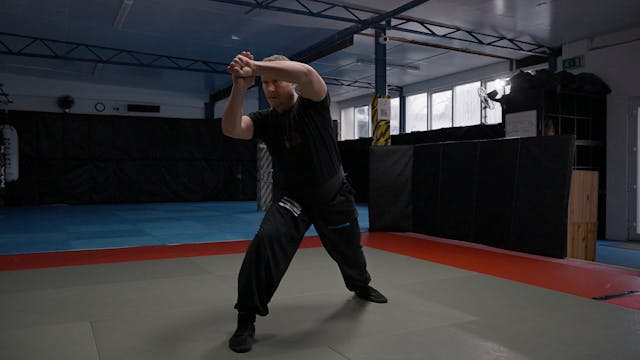 Adult Kung Fu Purple Belt (6th Rank)