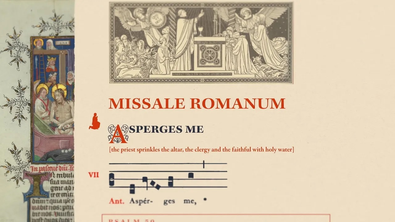 NEW MASS REVISION — Animation from Episode 2