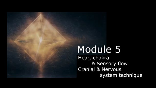 Module 5 - Nervous system