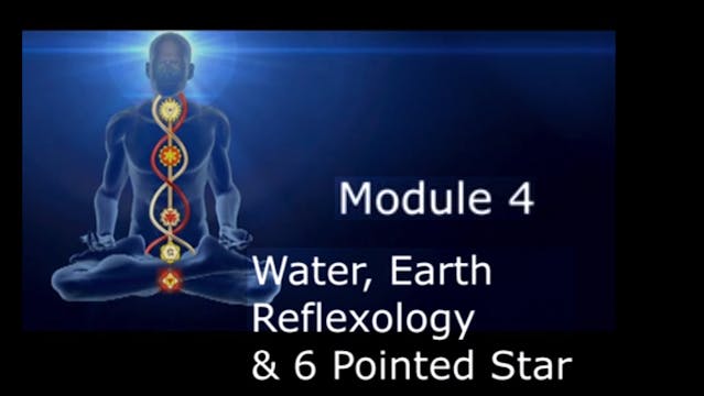 Module 4 - Elements cont. and Reflexo...
