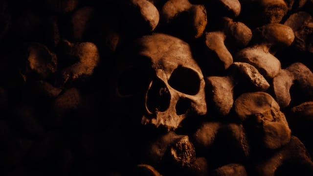 Alive in the Catacombs + Alive in Paris and Before