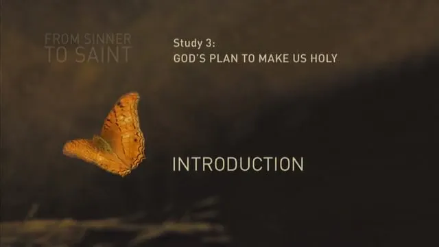 Study_3_-_Introduction.mp4