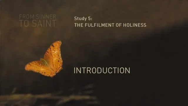 Study_5_-_Introduction.mp4