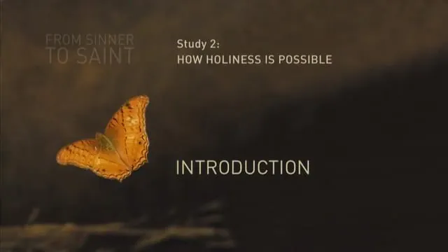 Study_2_-_Introduction.mp4