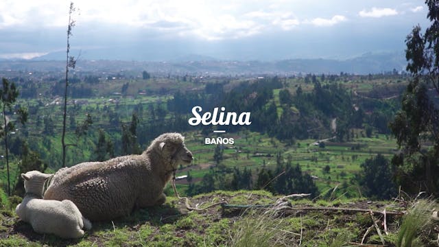 Selina Ecuador: Shaman