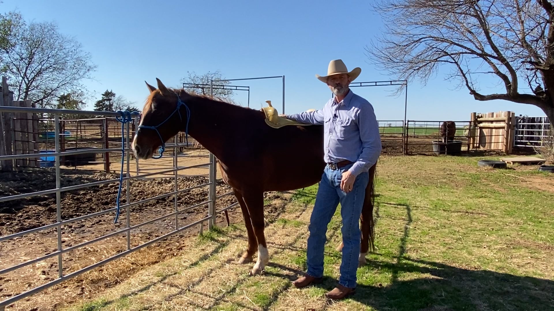 Saddling tips